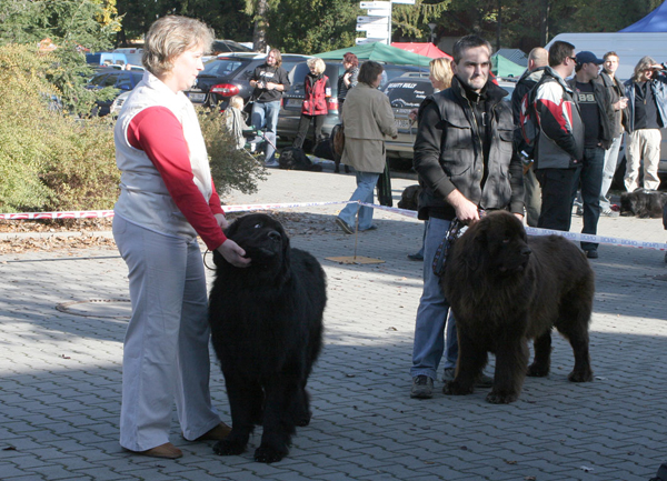 Třída otevřená - psi otevrena_psi.jpg