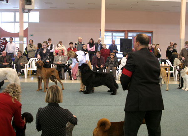 závěrečné boje ve skupině II. FCI zaverecne_boje_sk_2.jpg