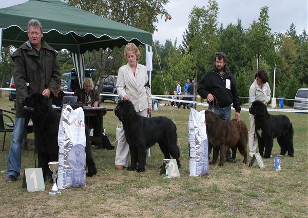 pořadí třída mladých- psi pořadí třída mladých- psi