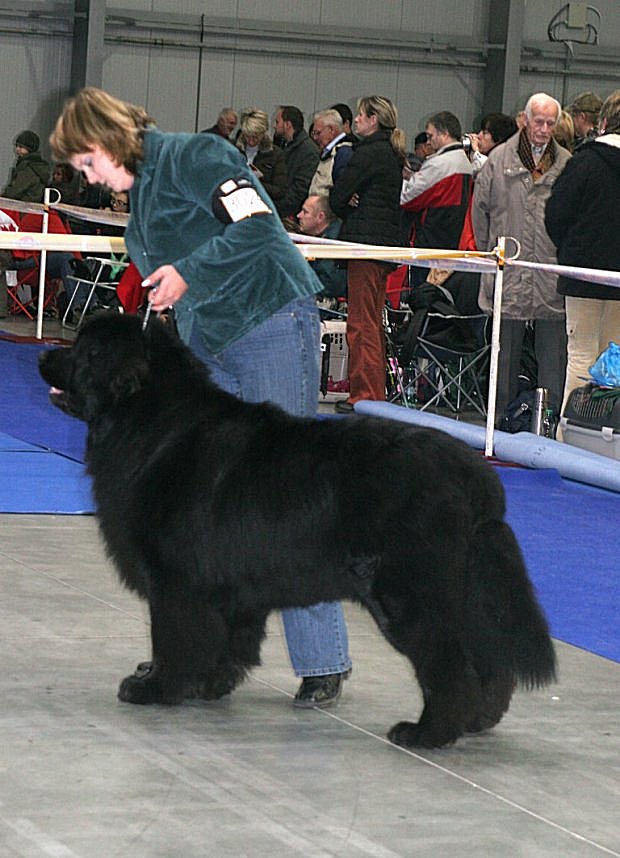 GCh.Fabricius od Trojské skály Fabricius od Trojské skály