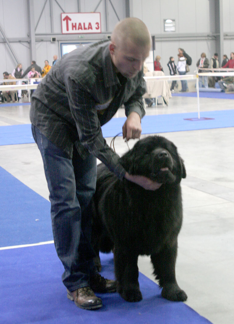 Kaira od Trojské skály kaira-od-trojske-skaly