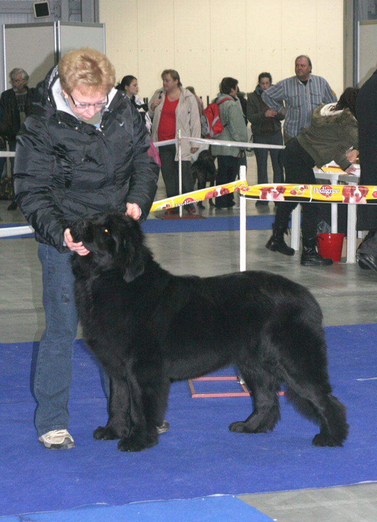 Kayra Highlander od Trojské skály kayra-highlander-od-trojske-skaly