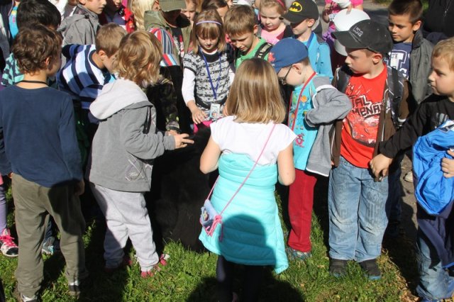 Novofundlanďani ve škole