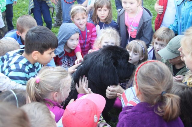 Novofundlanďani ve škole