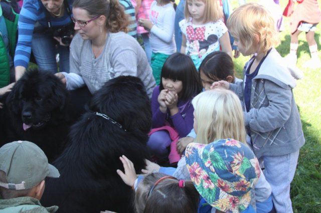 Novofundlanďani ve škole