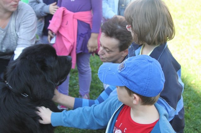 Novofundlanďani ve škole