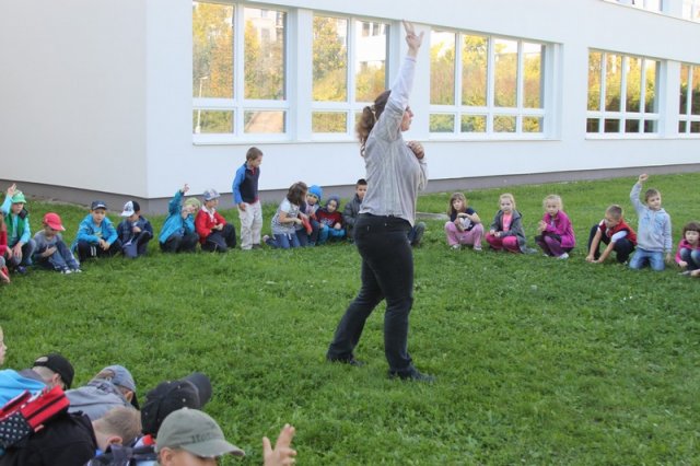 Novofundlanďani ve škole