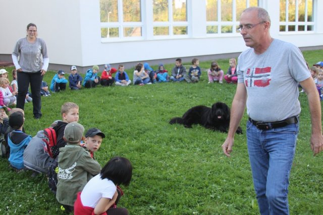 Novofundlanďani ve škole