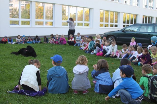 Novofundlanďani ve škole