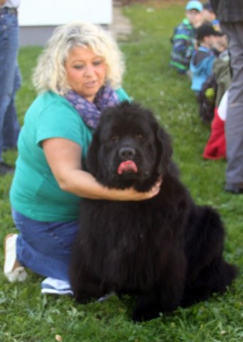 Novofundlanďani ve škole