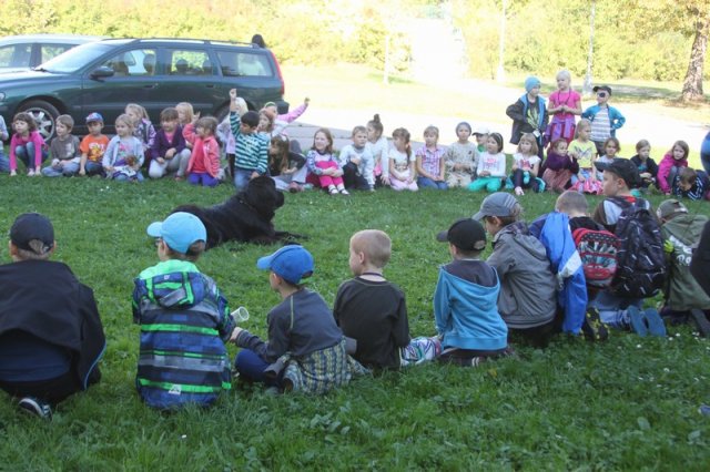 Novofundlanďani ve škole