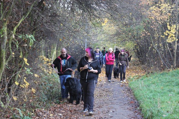 Divoká Šárka 2014