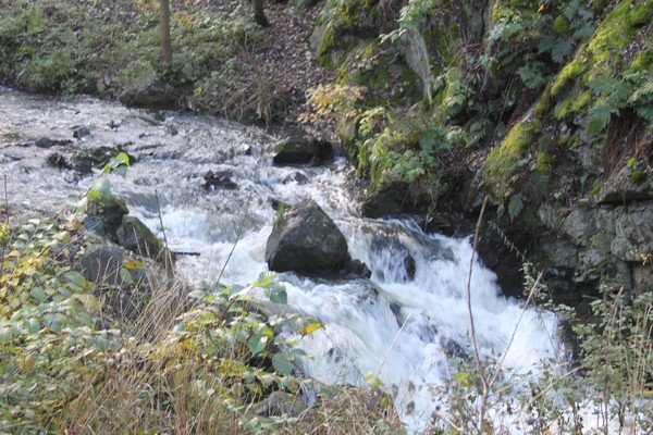 Divoká Šárka 2014