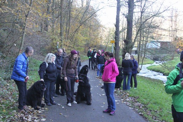 Divoká Šárka 2014