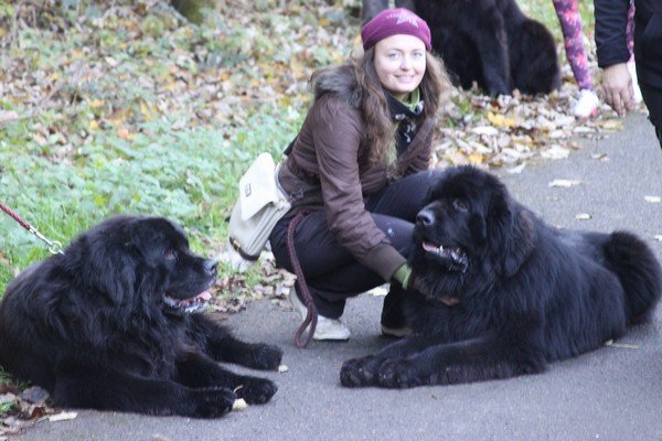 Divoká Šárka 2014