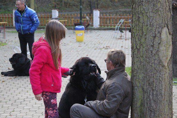 Divoká Šárka 2014