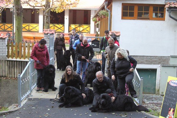 Divoká Šárka 2014