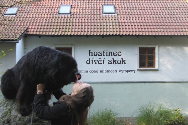 Divoká Šárka 2014