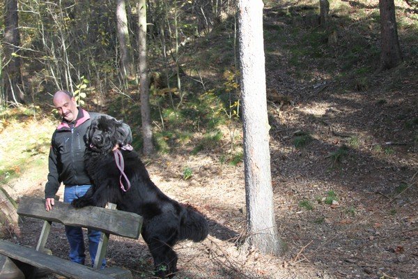 Divoká Šárka 2014