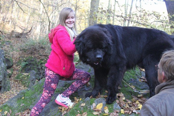 Divoká Šárka 2014