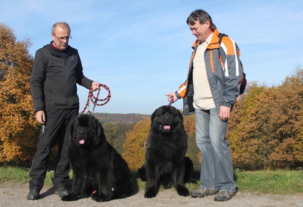 Divoká Šárka 2014