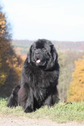 Divoká Šárka 2014