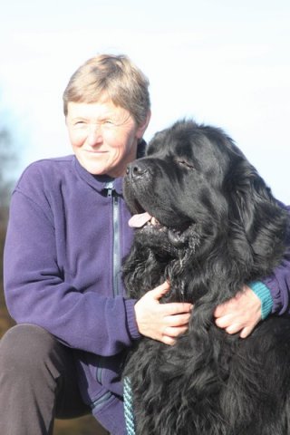 Divoká Šárka 2014