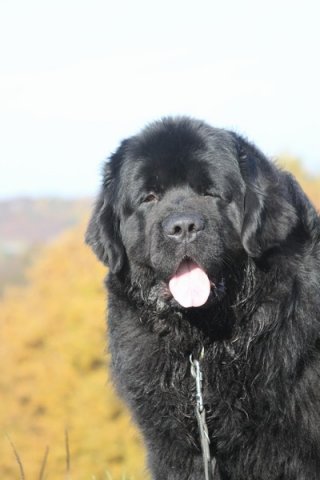 Divoká Šárka 2014