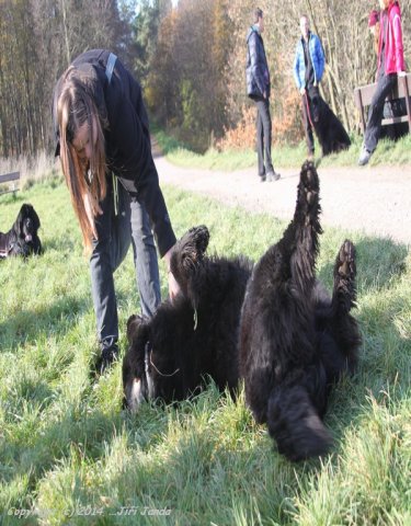 Divoká Šárka 2014