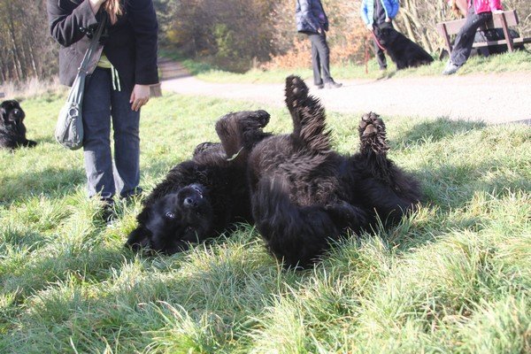 Divoká Šárka 2014