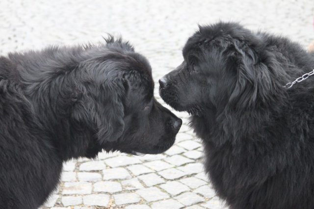 Adventní procházka Prahou