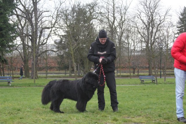 Adventní procházka Prahou