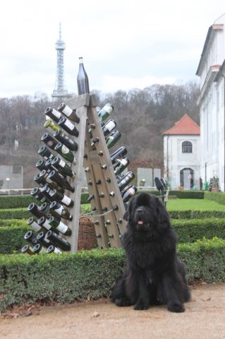 Adventní procházka Prahou