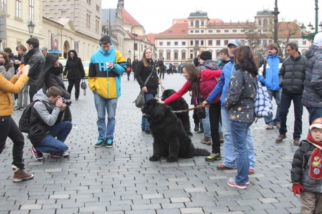 Adventní procházka Prahou