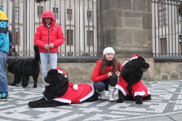 Adventní procházka Prahou