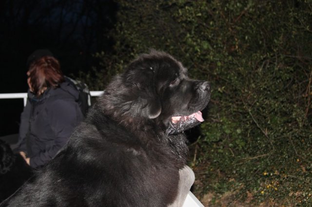 Adventní procházka Prahou