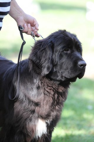 Džbán 2015 - 1.den