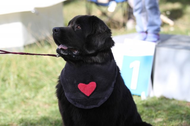 Džbán 2015 - 1.den