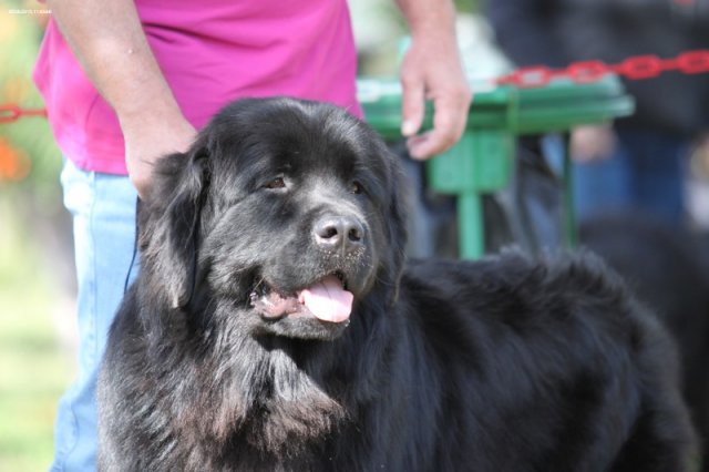 Džbán 2015 - 1.den