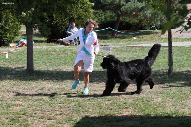 Džbán 2015 - 1.den