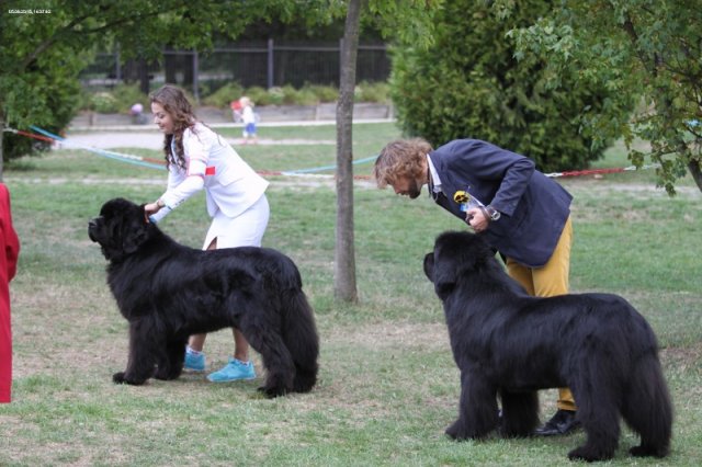 Džbán 2015 - 1.den