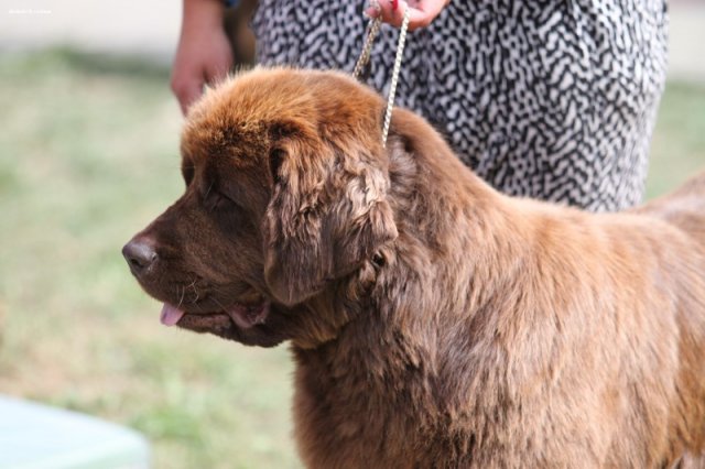 Džbán 2015 - 1.den