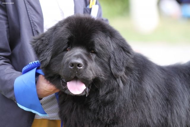 Džbán 2015 - 1.den