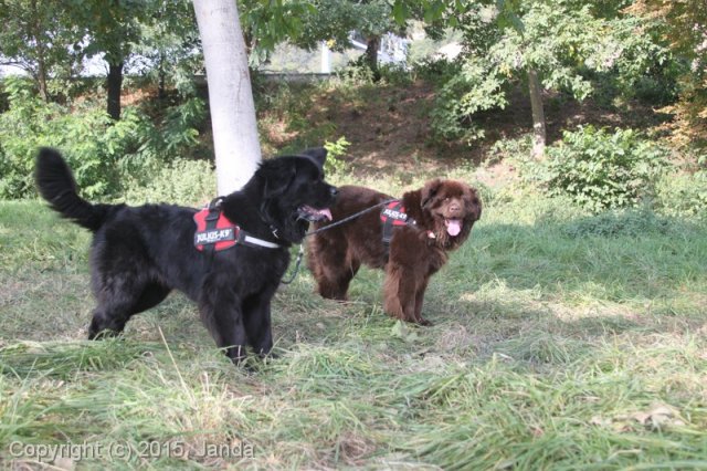 Zamykání vody 2015