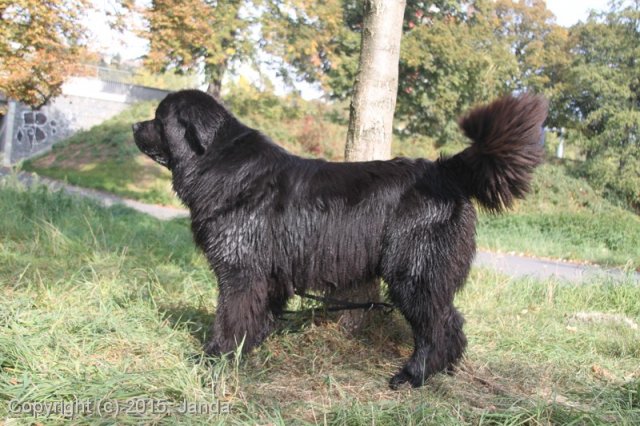 Zamykání vody 2015