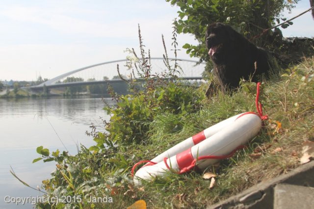 Zamykání vody 2015