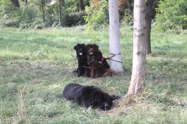 Zamykání vody 2015