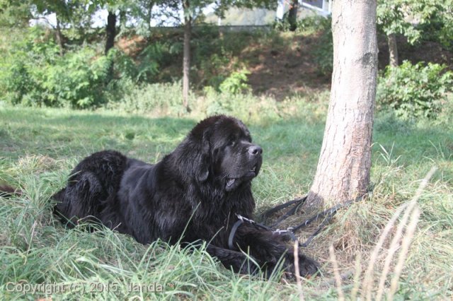 Zamykání vody 2015