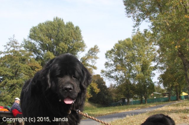 Zamykání vody 2015