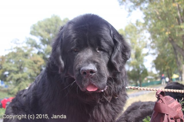 Zamykání vody 2015